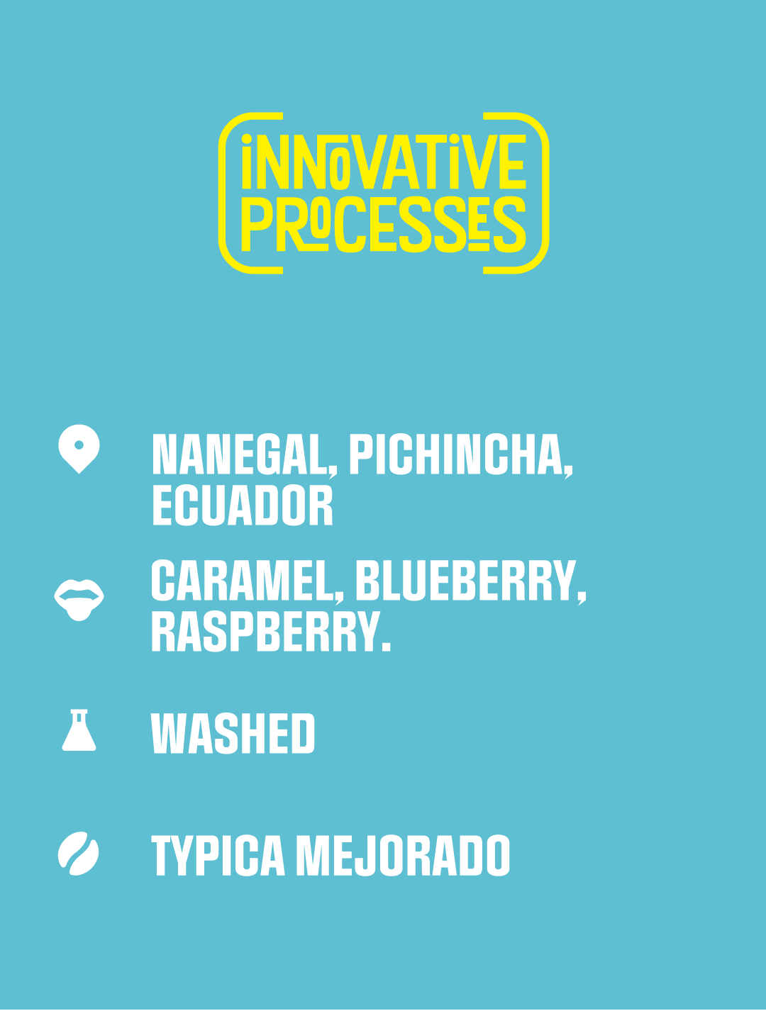 Innovative Processes &lt;br/&gt;Ecuador, La Fortaleza, Washed