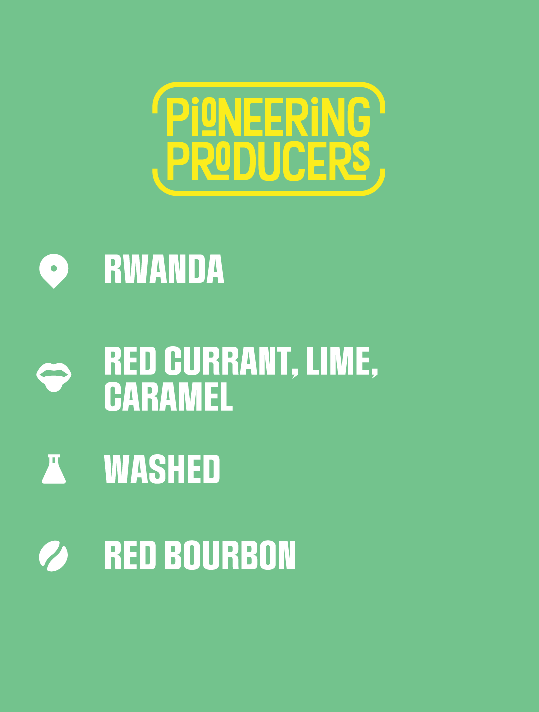 Wholesale PP &lt;br/&gt; Rwanda, RTC, Washed